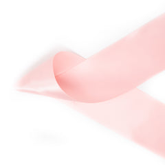 Seashell Pink / 2.25 Seashell Pink / 2.25
