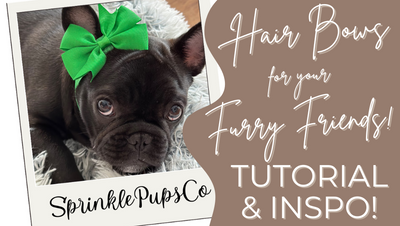 DIY - Hair Bows for your Furry Friends