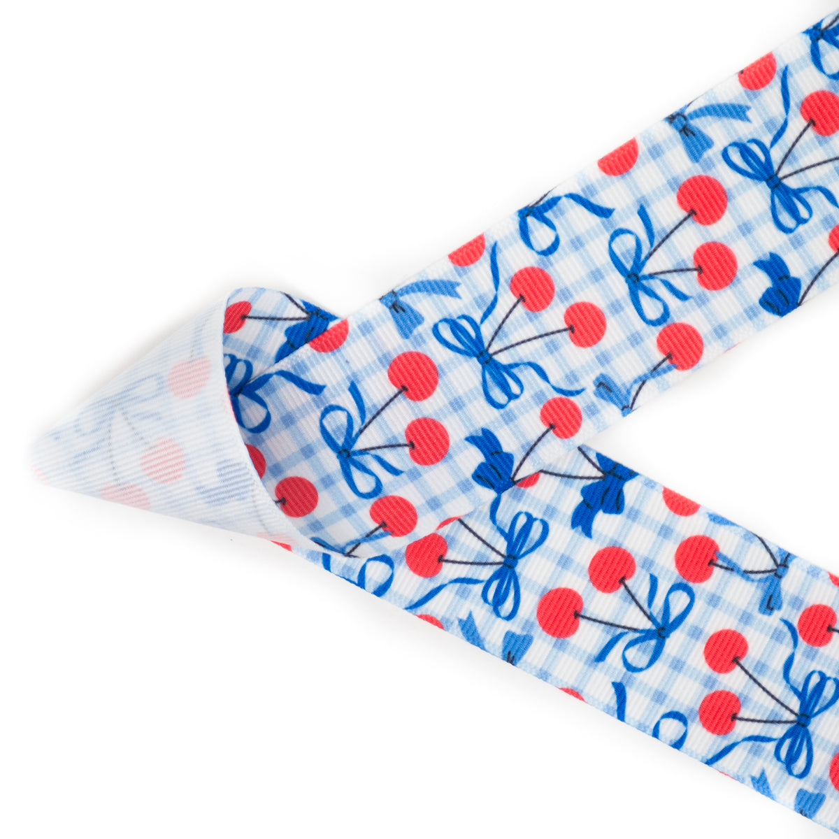 Patriotic Picnic – Ribbon and Bows Oh My!