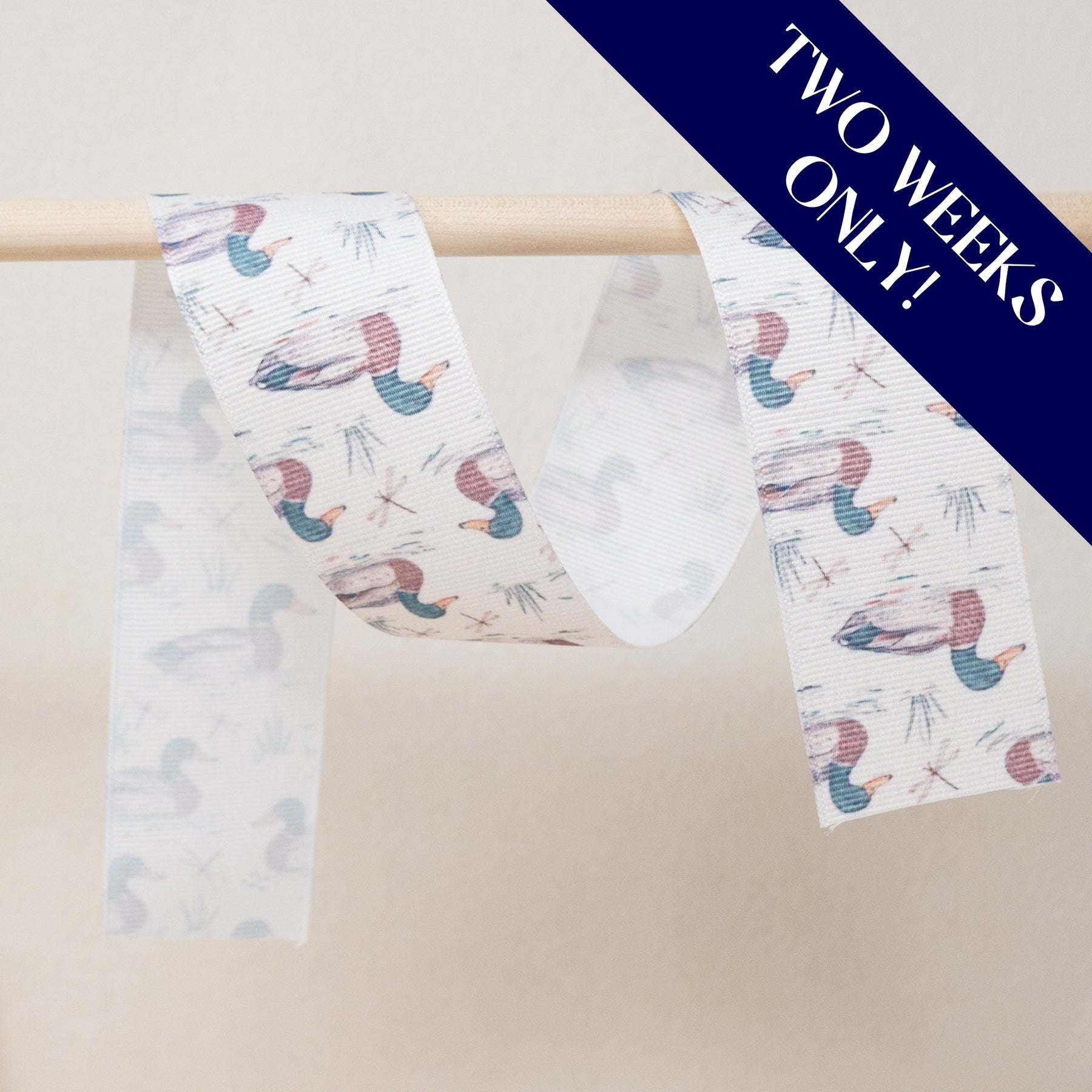 Striped Ribbon – Ribbon and Bows Oh My!